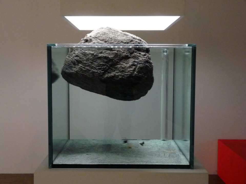036 Pierre Huyghe zoodram -2 2010