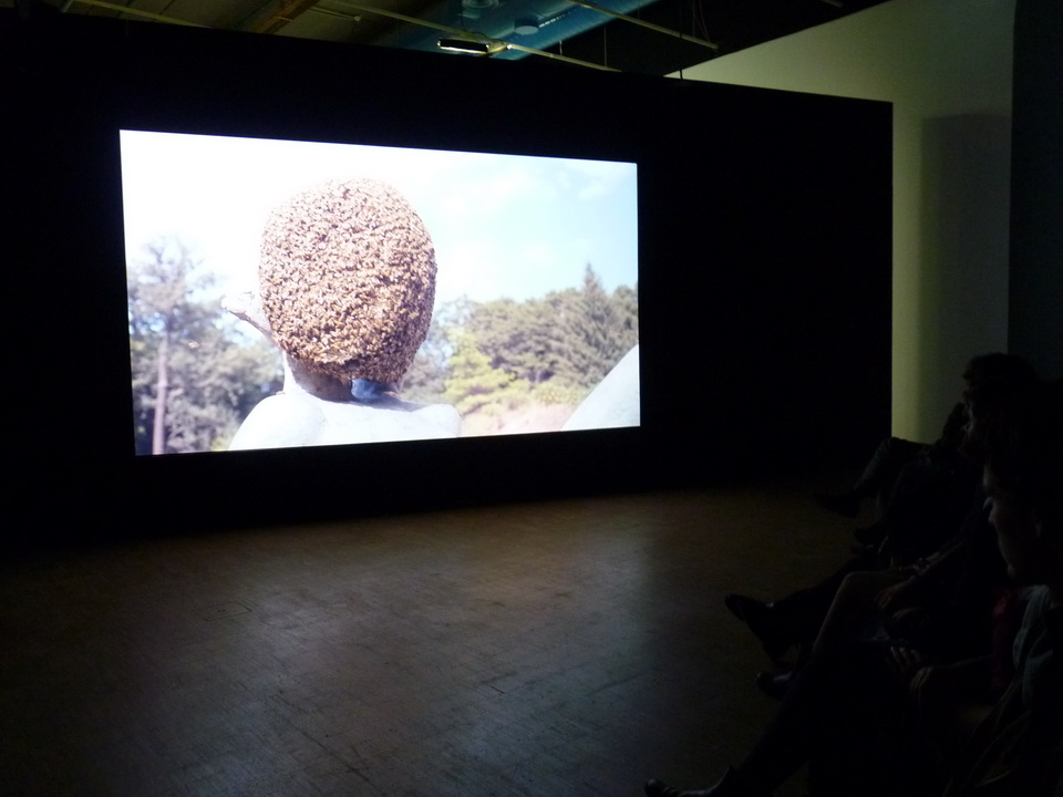 039 Pierre Huyghe a way in untllled 2012 video
