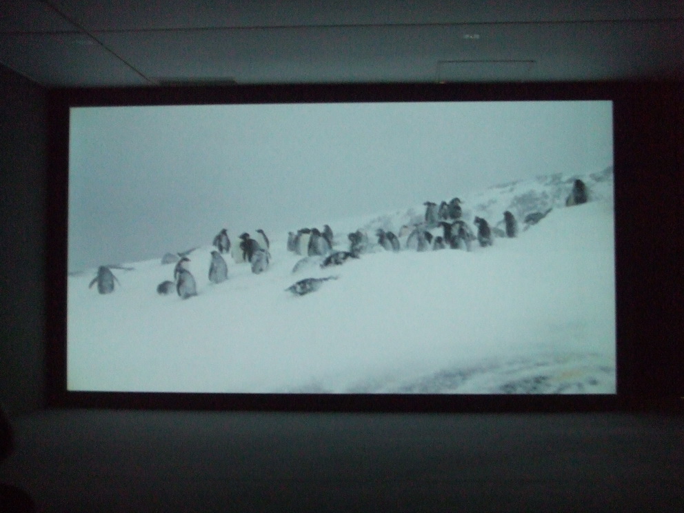 091 Pierre Huyghe A Journey That Wasn t 2005 film16