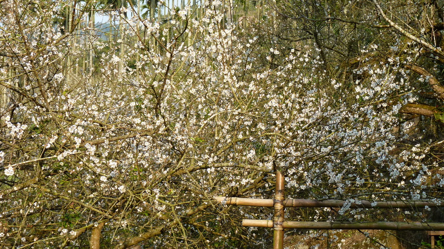 P1280619