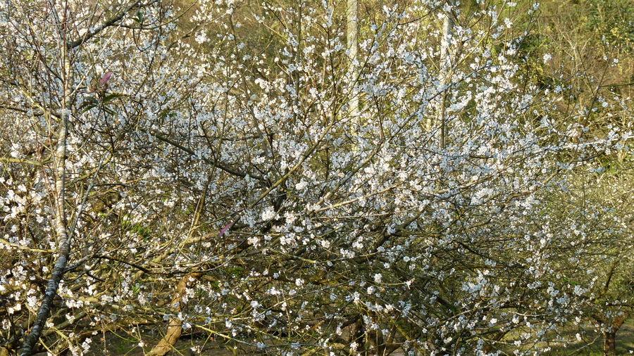 P1280607