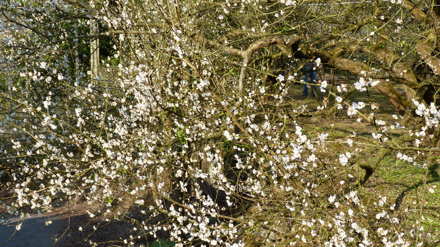 P1280597