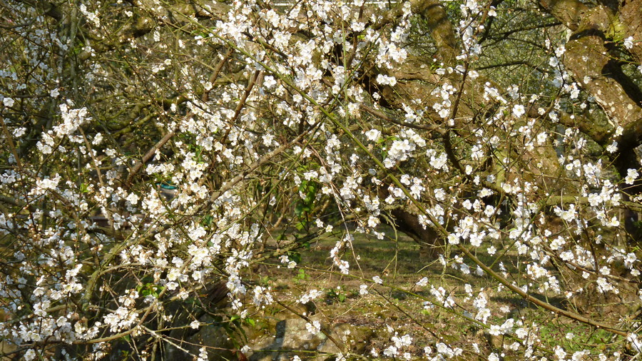 P1280605