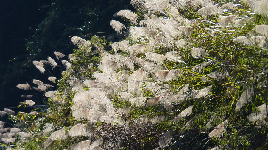 P1280803