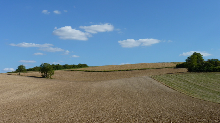 P1250226