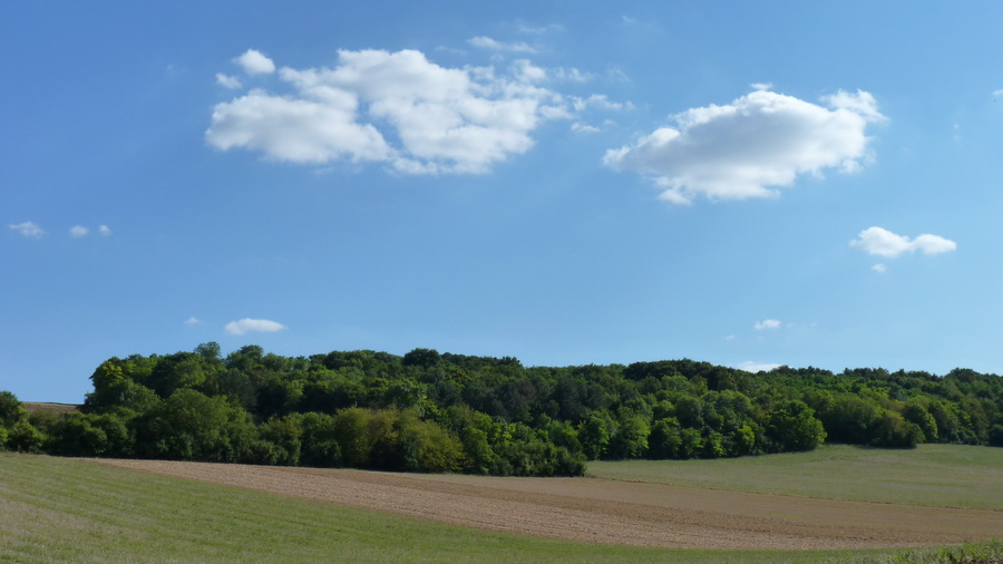 P1250227