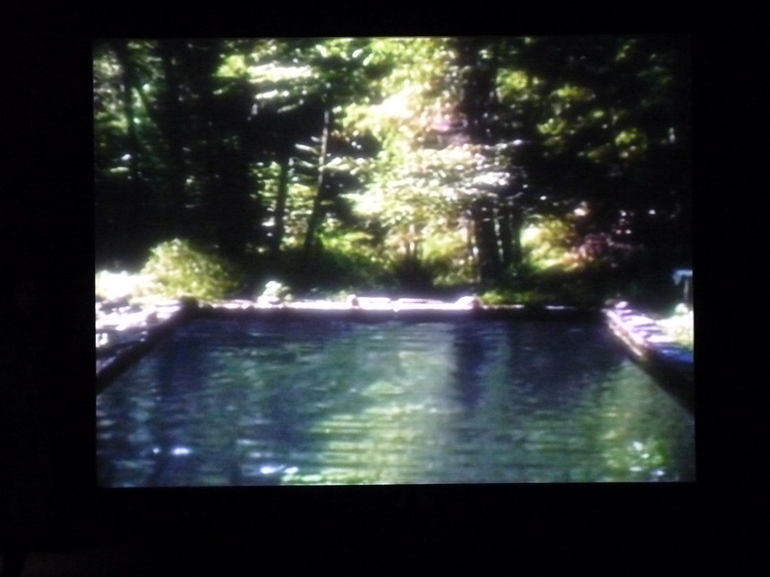 003 Bill Viola the reflecting pool -la bassin miroir 1977-79 7 minutes performeur Bill Viola