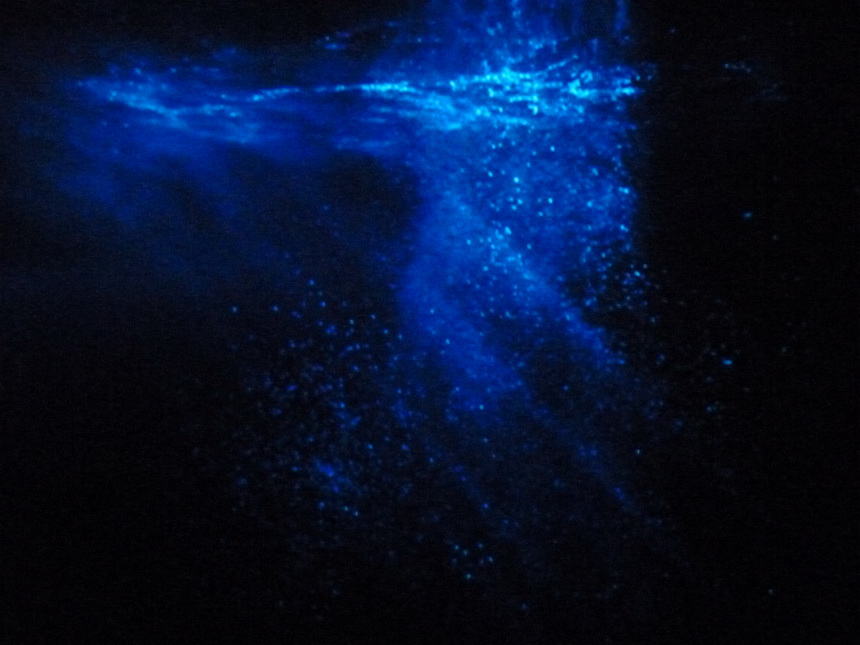 094 Bill Viola ascension 2000 projection video en couleur son stereo 10 minu perfrmeur Josh Coxx