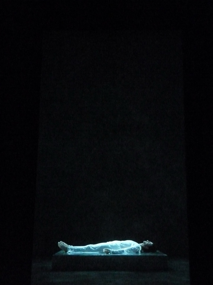064 Bill Viola Tristan s ascension-le son d une montagne sous une cascade 2005 10 minu 16 sec performeur John Hay coll Pinault