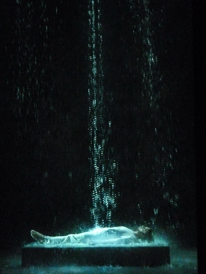 066 Bill Viola Tristan s ascension-le son d une montagne sous une cascade 2005 10 minu 16 sec performeur John Hay coll Pinault