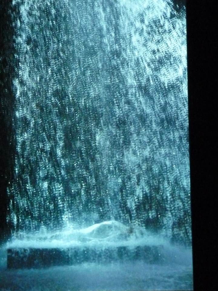 069 Bill Viola Tristan s ascension-le son d une montagne sous une cascade 2005 10 minu 16 sec performeur John Hay coll Pinault