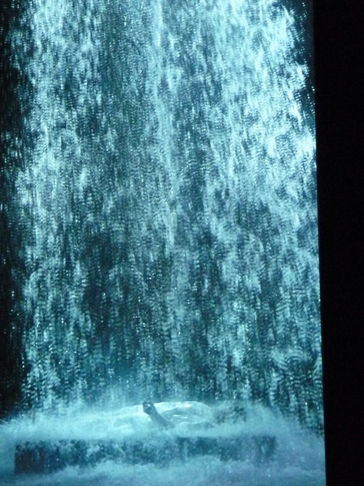 070 Bill Viola Tristan s ascension-le son d une montagne sous une cascade 2005 10 minu 16 sec performeur John Hay coll Pinault