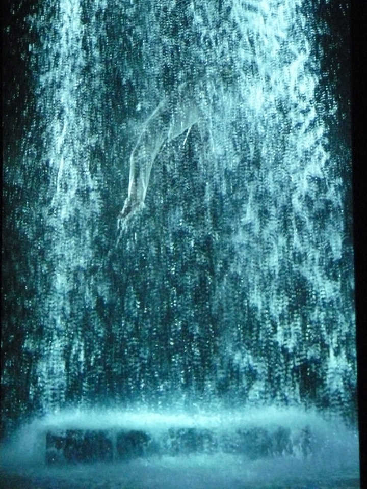 074 Bill Viola Tristan s ascension-le son d une montagne sous une cascade 2005 10 minu 16 sec performeur John Hay coll Pinault