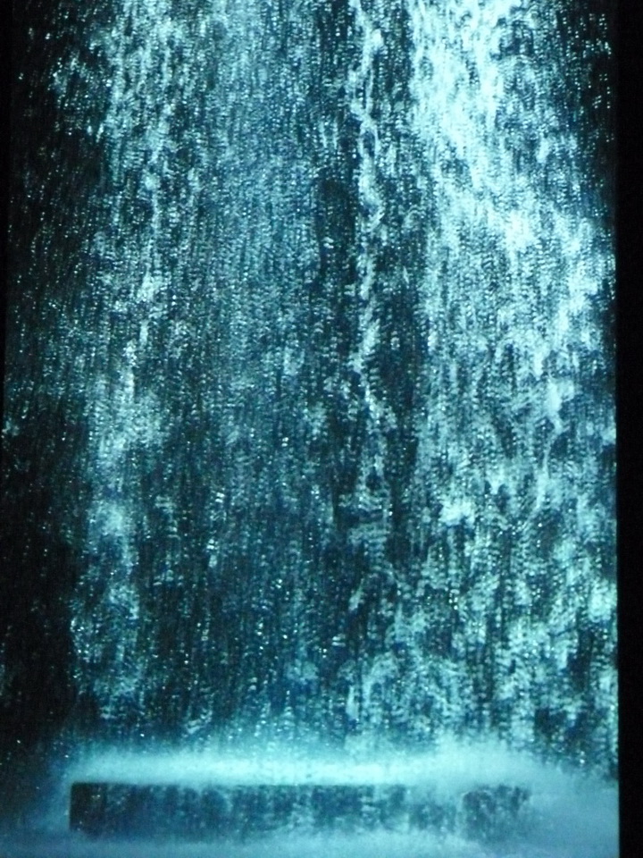 076 Bill Viola Tristan s ascension-le son d une montagne sous une cascade 2005 10 minu 16 sec performeur John Hay coll Pinault