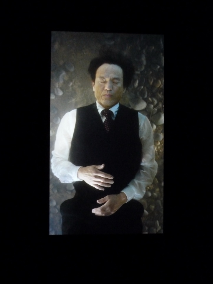 097-2 Bill Viola the dreamers-les reveurs 2013 7 canaux video-ecrams plasma colle Pinault