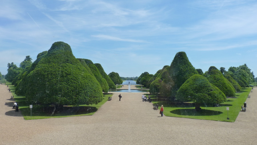 Hampton court 皇家花園「紫杉徑」庭園