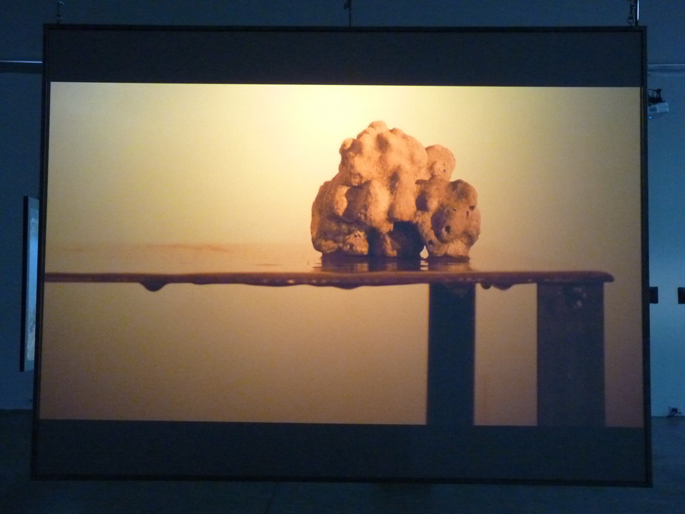 049 Rebecca Digne ne1982 climats 2014 video