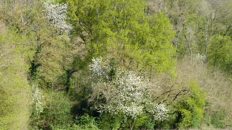 P1390079