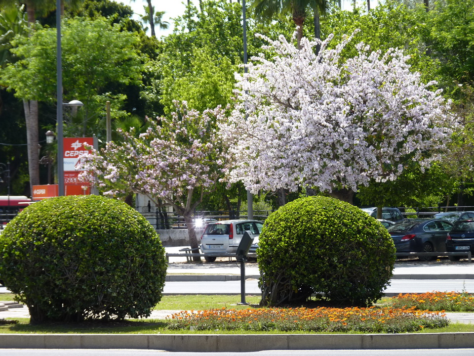 P1390853