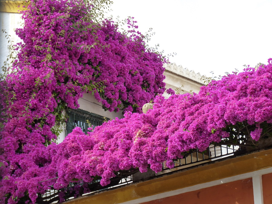 P1390473-2