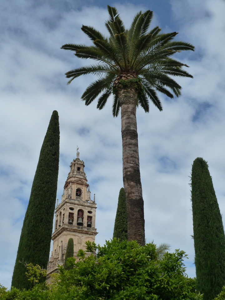 P1170759