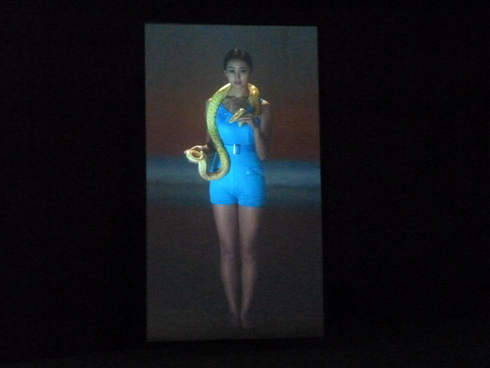 030 Yang Fudong the coloured SKY-new women II video installation 2014
