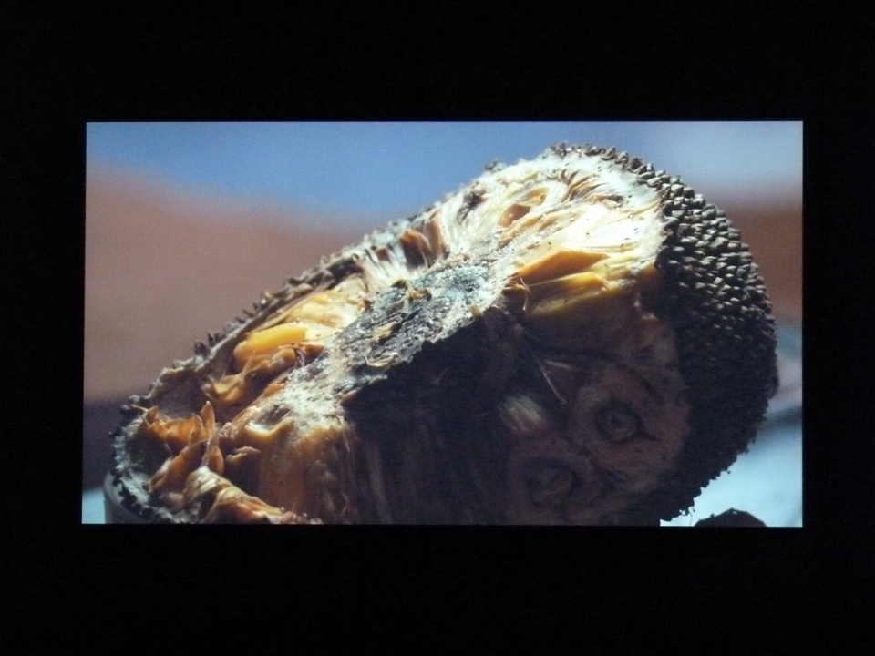 025 Yang Fudong the coloured SKY-new women II video installation 2014