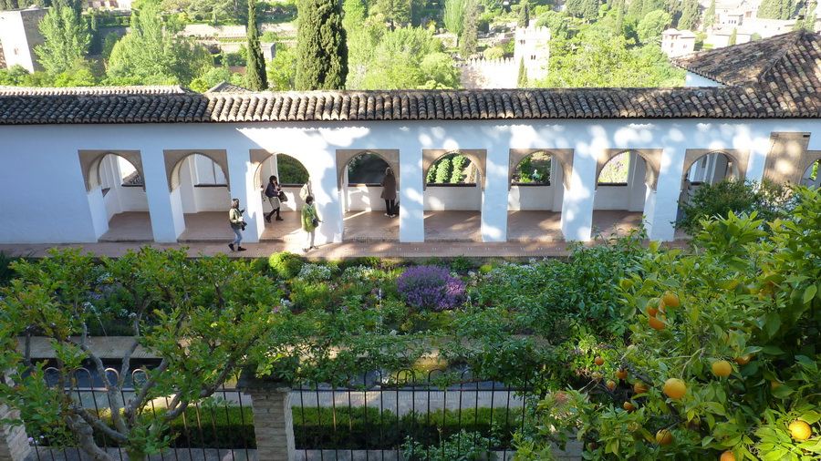 P1390646