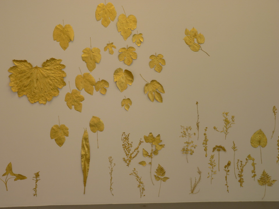 078 Lionel Esteve ne 1967sans titer serie de 58 oeuvres 2015 plantes dorees a la feuille d or