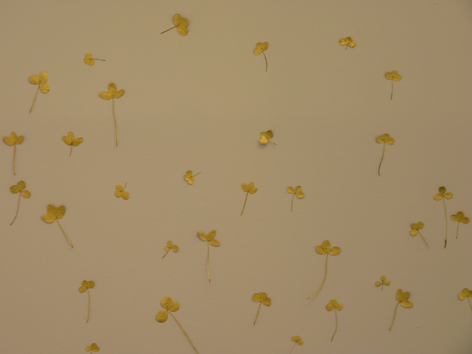 079 Lionel Esteve ne 1967 nomal luck 2015 installation plantes dorees a la feuille d or