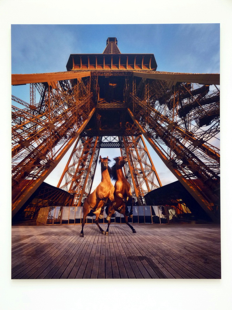 083 Paola Pivi yee-haw 219x180cm 2015 photographie digitale surdibond et diasec