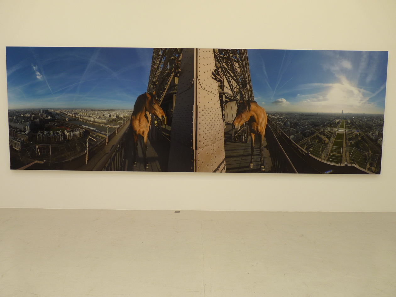 083-3 Paola Pivi yee-haw paris 180x553cm 2015 photographie digitale surdibond et diasec