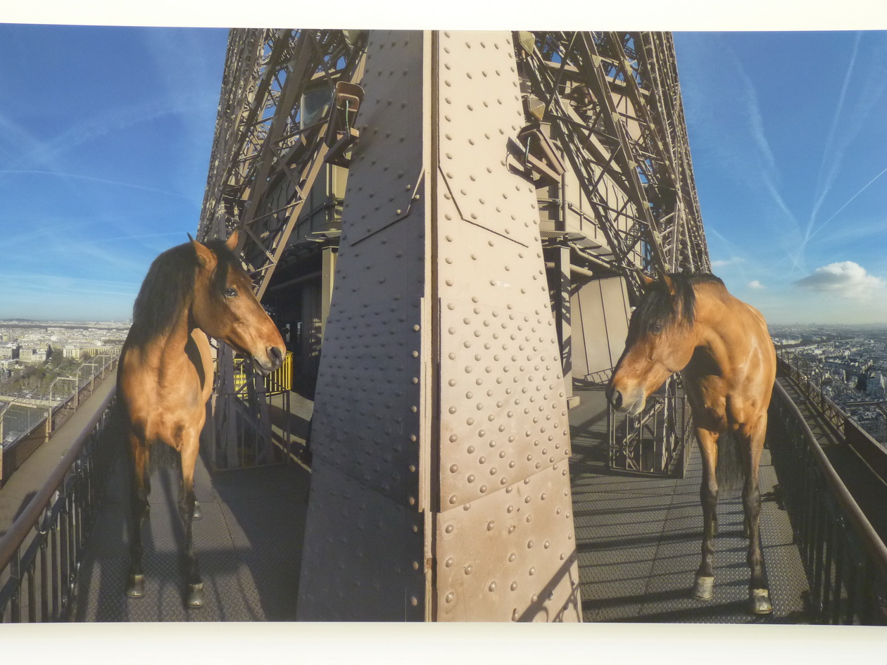 083-4 Paola Pivi yee-haw paris 180x553cm 2015 photographie digitale surdibond et diasec