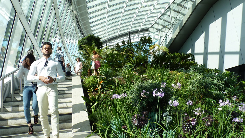倫敦的屋頂-「天際花園 (Sky Garden ) 」