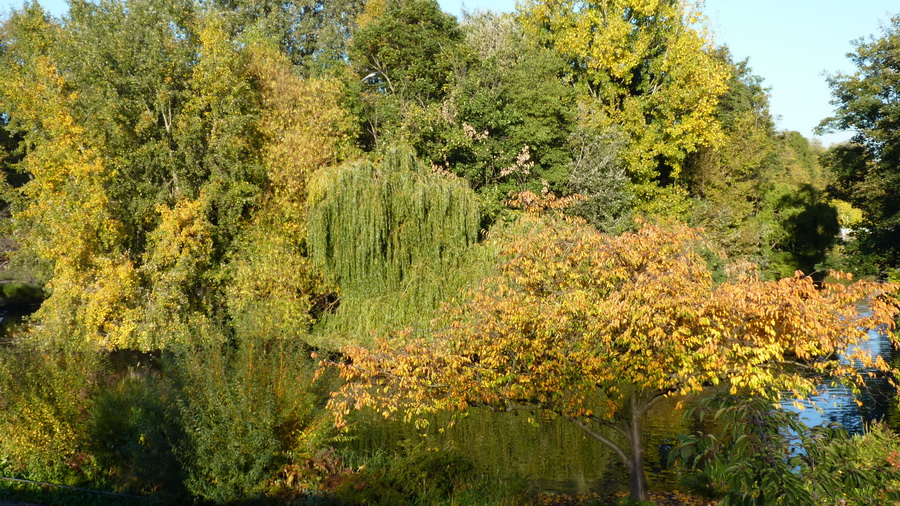 P1460075