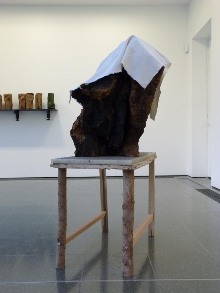 P1460119 Jimmie Durhan b1940 usa our best efforts 2012 olive wood table line