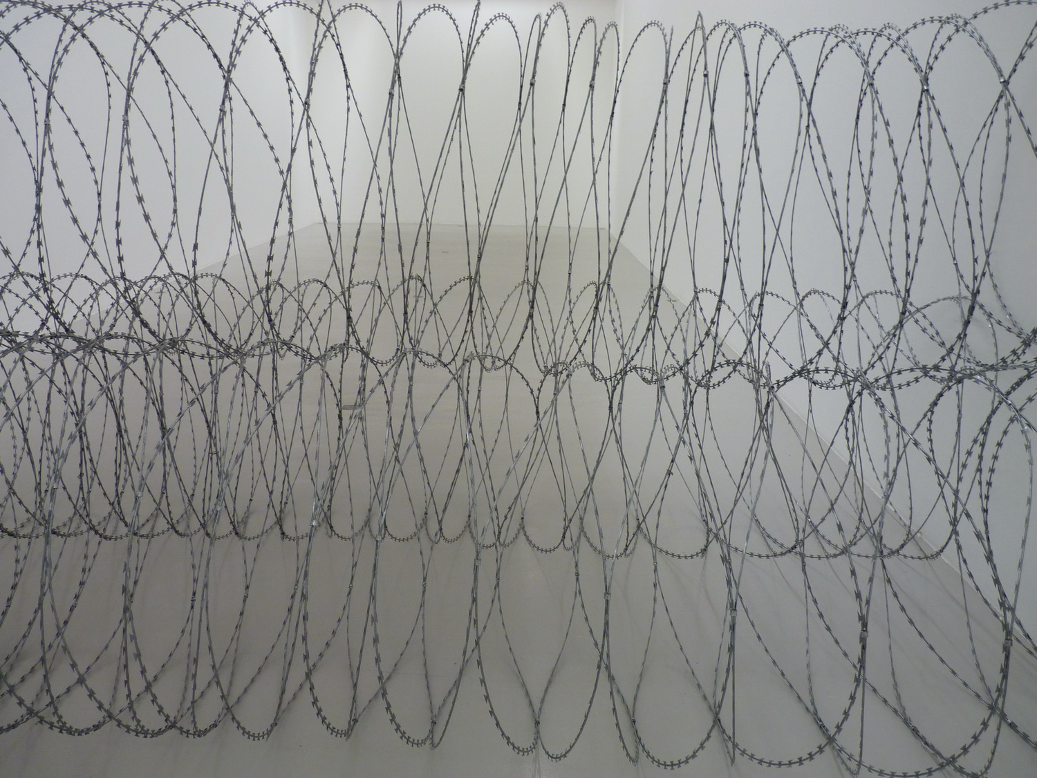 040-6 Gianni Motti draft 2015 installation