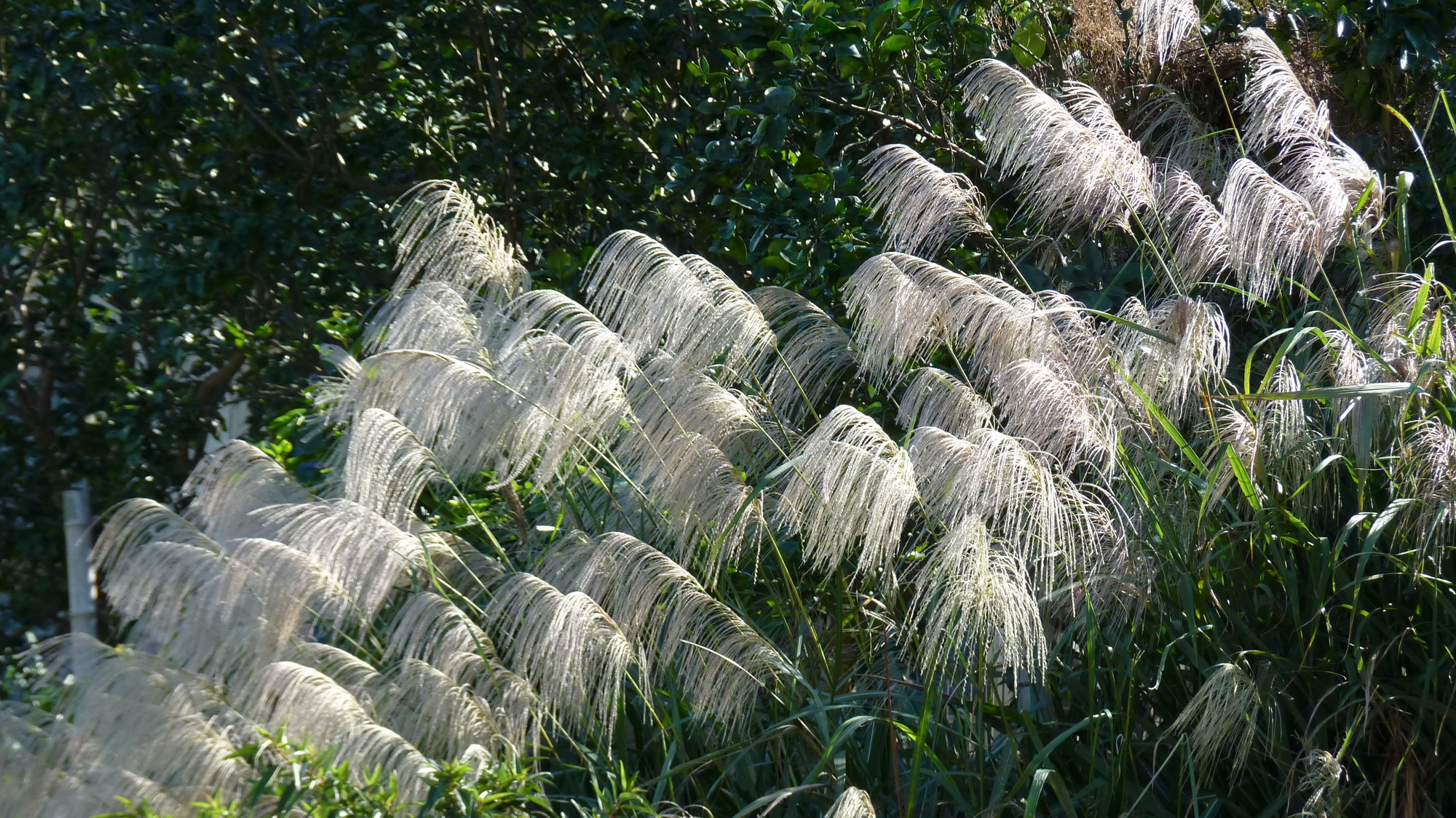 P1470288