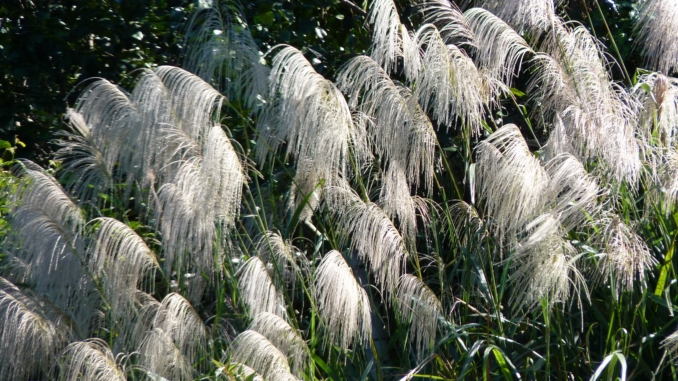 P1470302