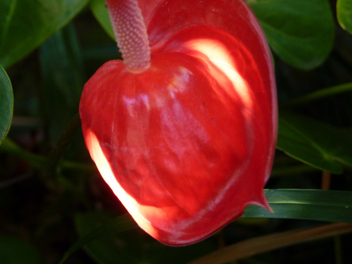 P1470386
