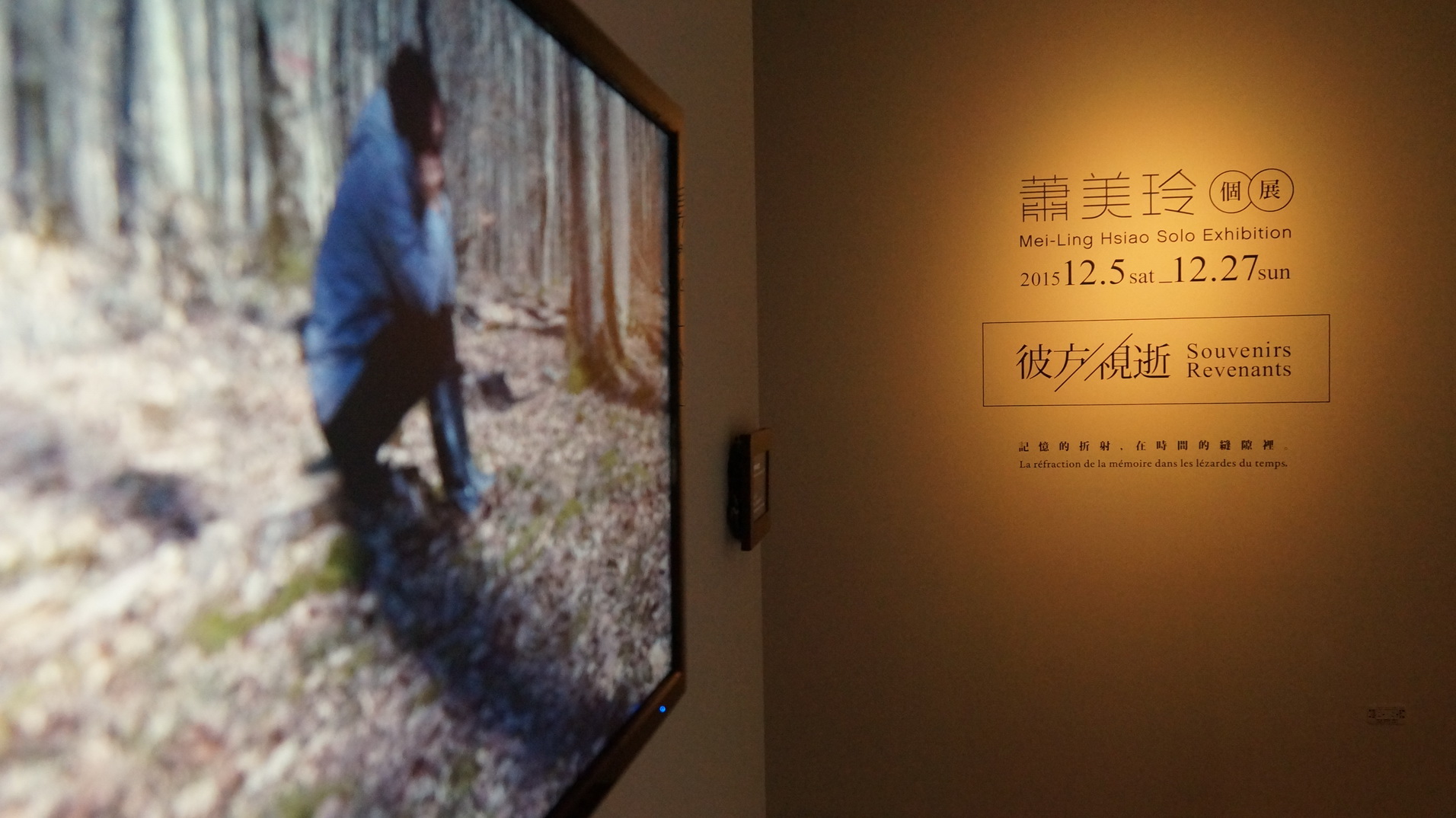 DSC02640 在森林中遇見自己