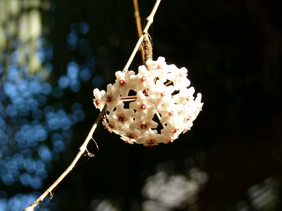 P1470258