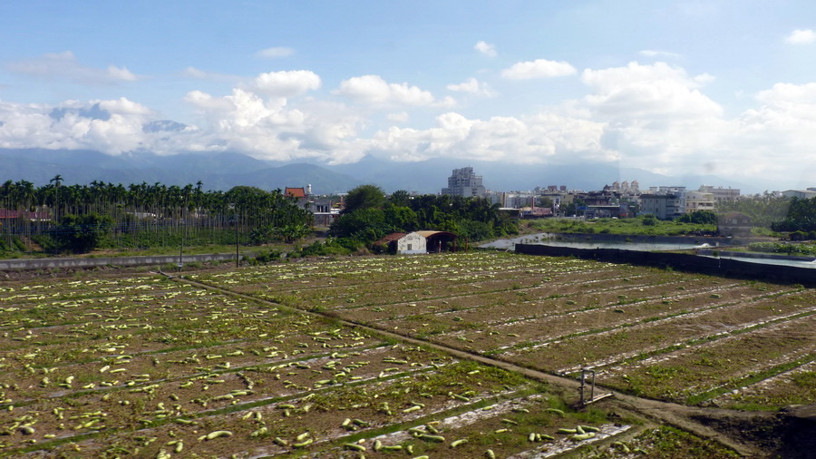 P1470600