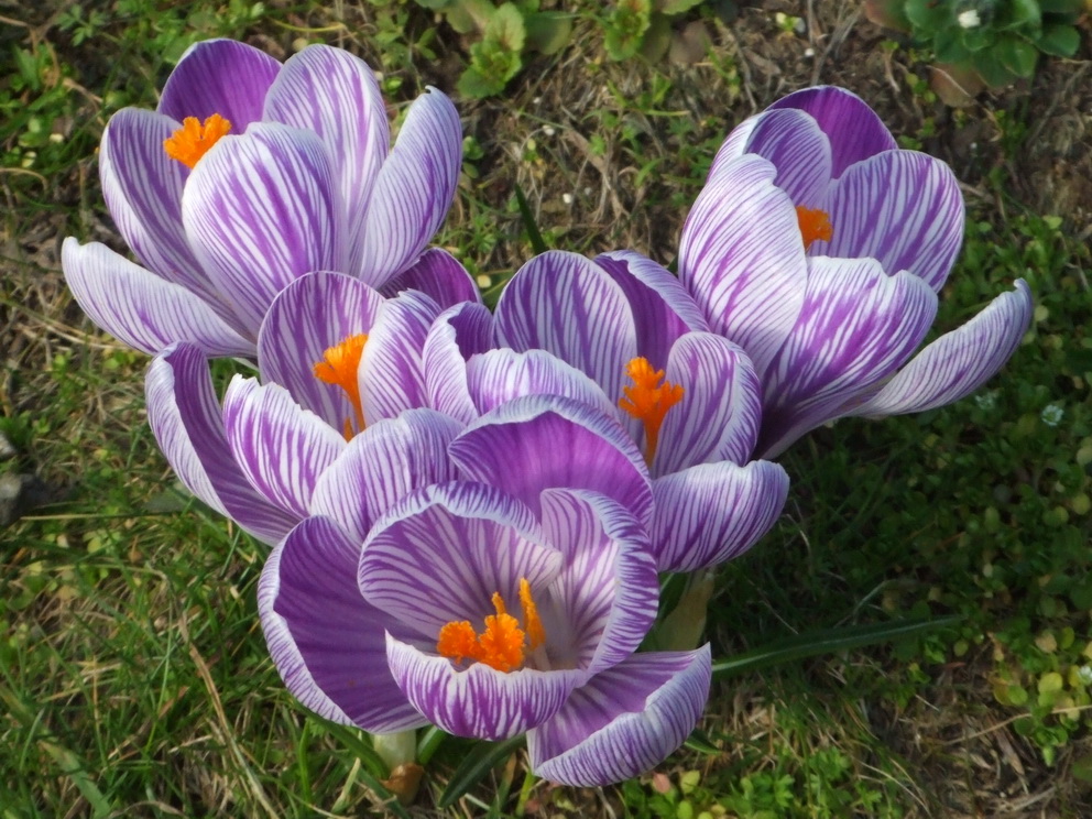 026