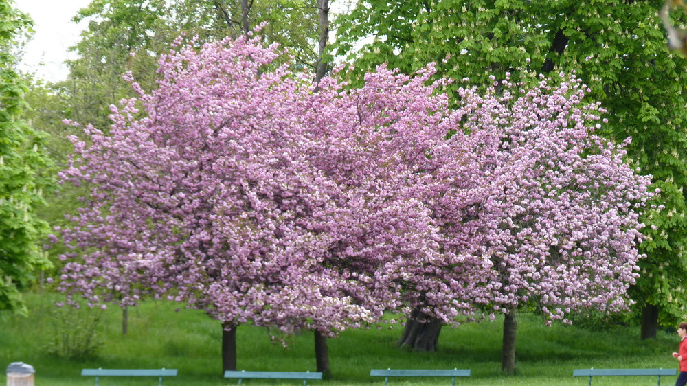 P1510276