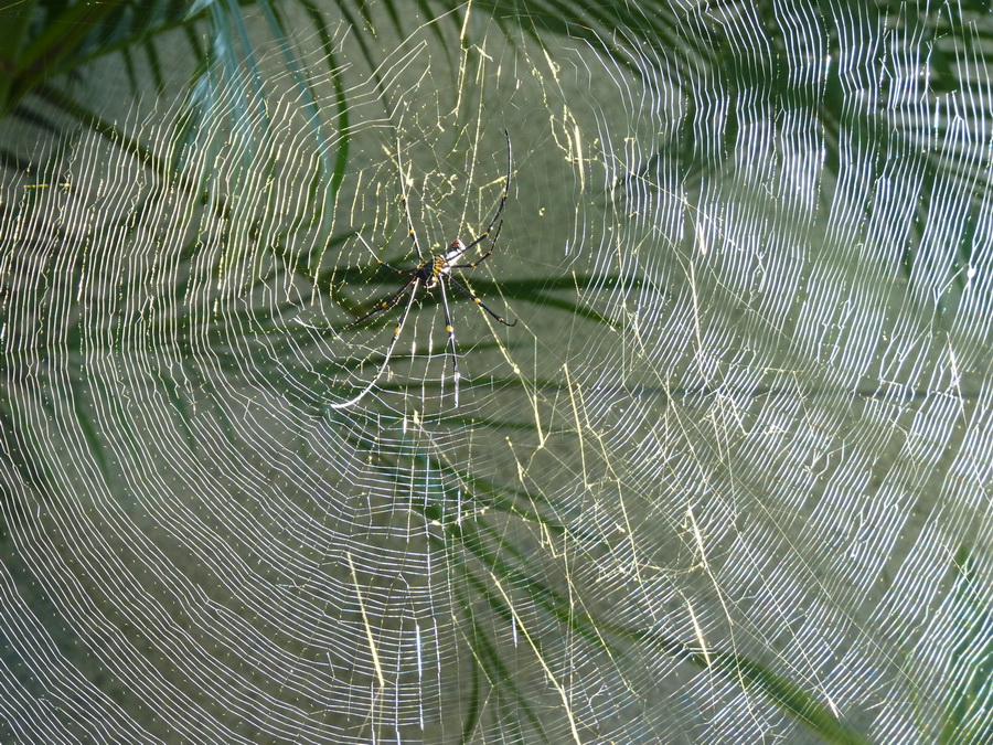 P1470381