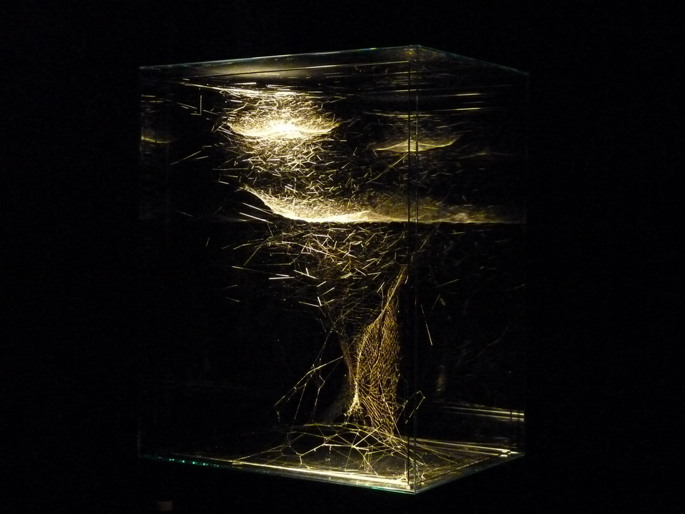 011 Tomas Saraceno b1973 hybrid musical instrument cygnus a-built by a solitary spider nephila kenianensis and two semi-social