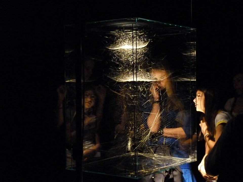 014 Tomas Saraceno b1973 hybrid musical instrument cygnus a-built by a solitary spider nephila kenianensis and two semi-social