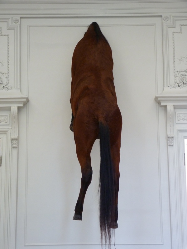 p1570688-maurizio-cattelan-sans-titre-300x170x80cm-2007-cheval-naturalise