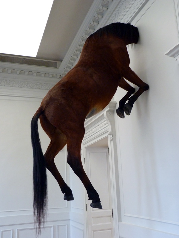 p1570687-3-maurizio-cattelan-sans-titre-300x170x80cm-2007-cheval-naturalise